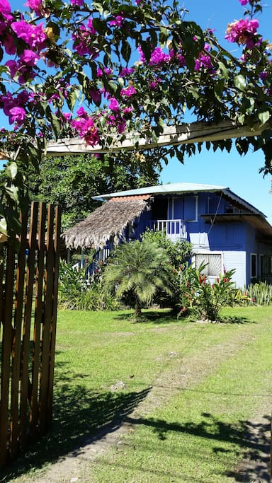 Front of the house
