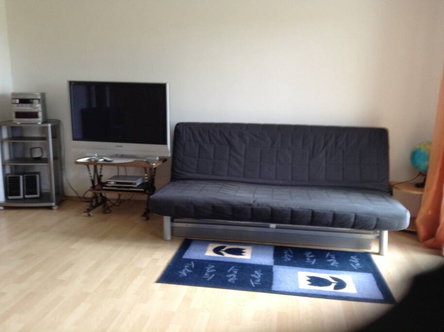 Schlafcouch im Wohnzimmer (ausklappbar für 2 Personen)