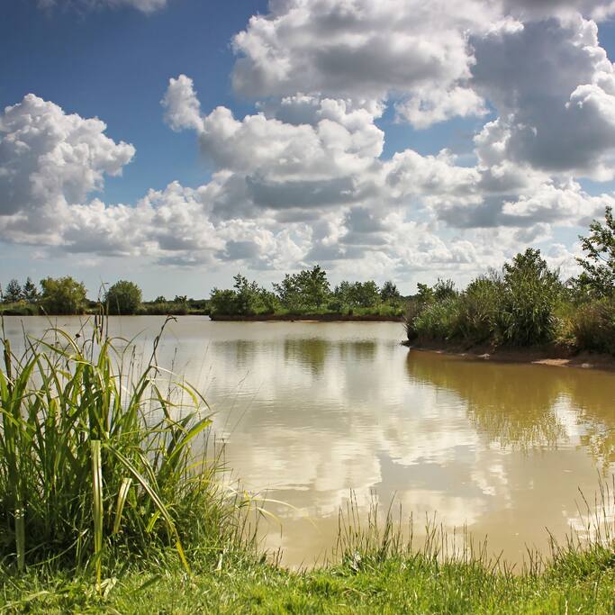 Waingrove Lake