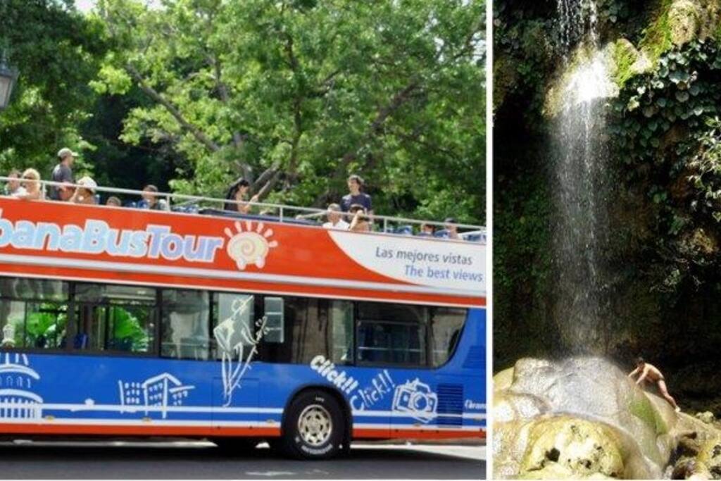 Close to Havana there are amazing nature places. We can take you to Viñalles, Las Terrazas, Soroa.