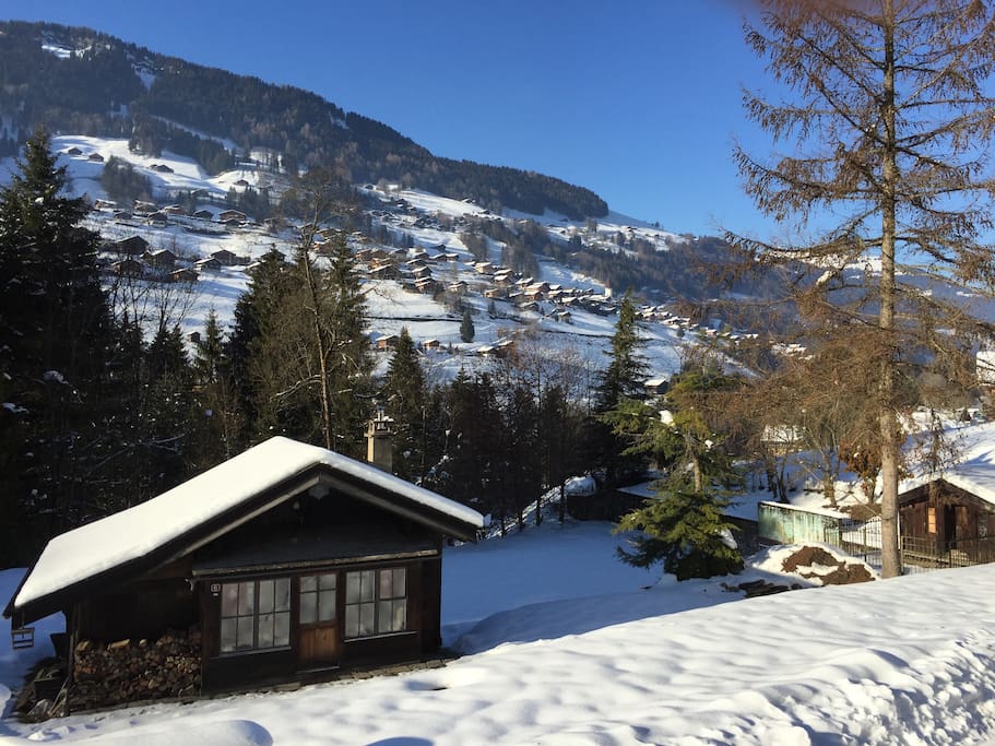 House in Winter