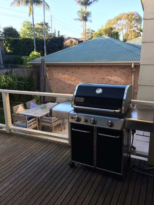 New Webber BBQ