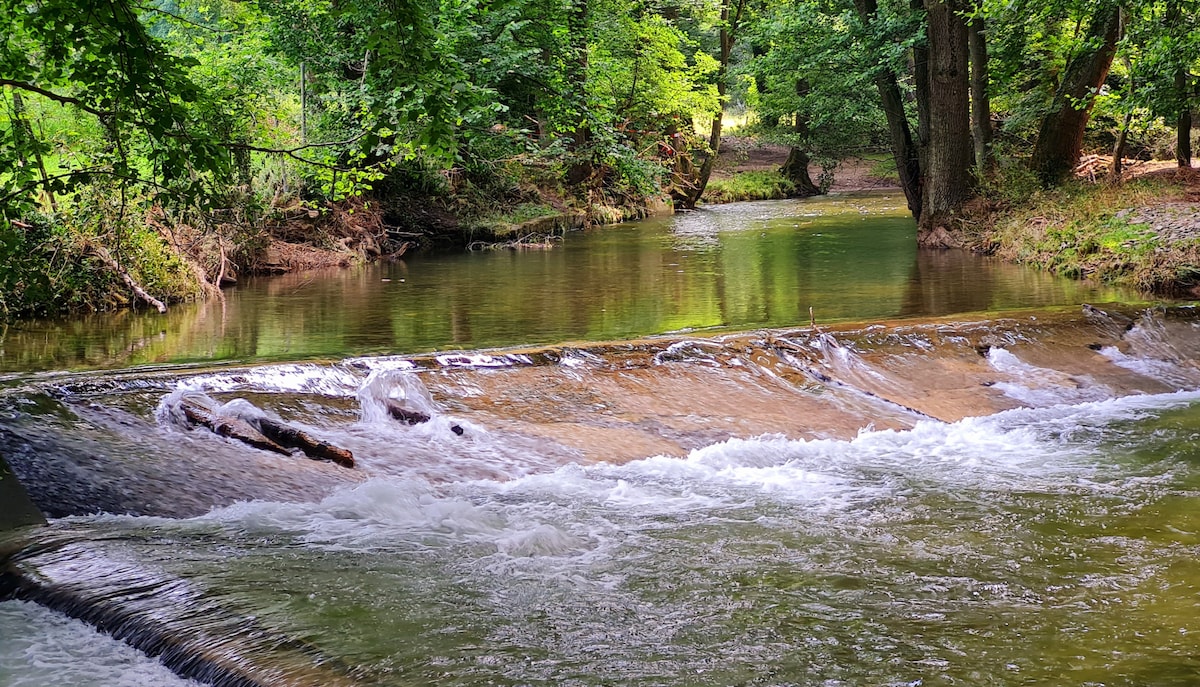 A tranquil river scene is depicted, surrounded by lush green trees. Gentle water flows over a shallow rocky ledge, creating small ripples and splashes. The sunlight filters through the foliage, casting dappled light on the water's surface, enhancing the serene atmosphere.