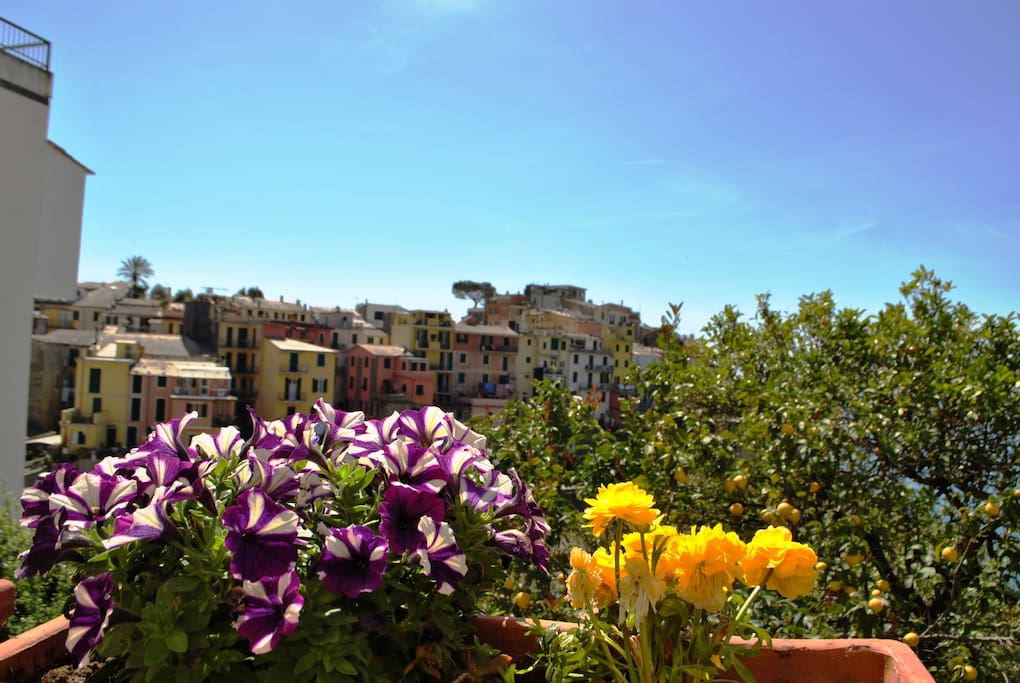 Boutique Hotels Liguria Boutique Hotels Liguria
