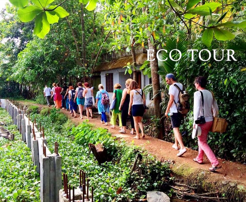 Kuttanad Tour Package Kuttanad Tour Package