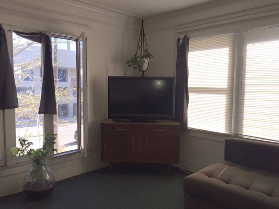 TV with Roku