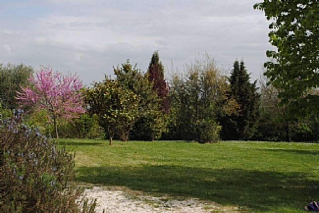 Giardino
Garden