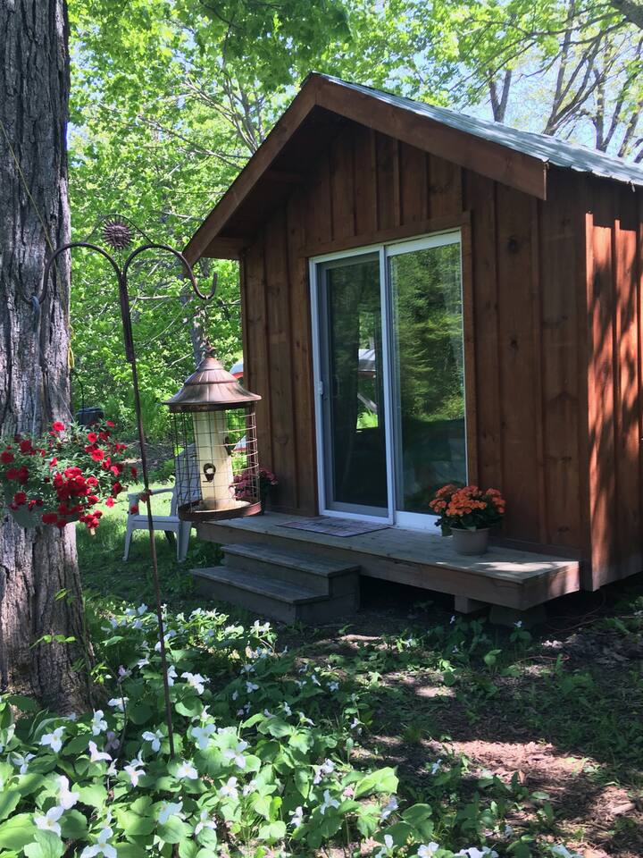 Top 6 Tiny Houses For Rent Near Beaverton, Canada Updated 2024 Trip101