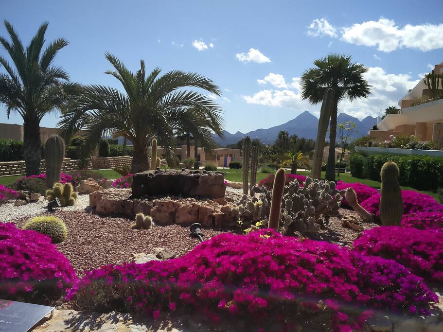 3 slaapkamers 165m2 Altea la Nova heeft rondt om een super onderhouden tuin
