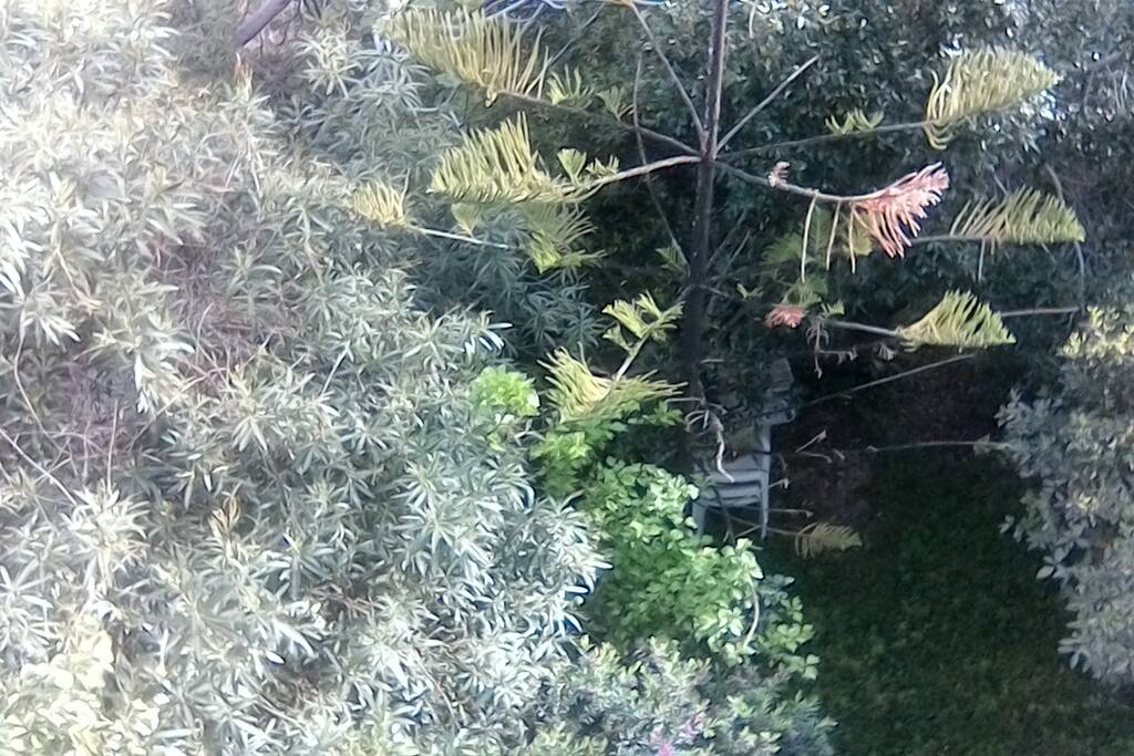 από το μπαλκόνι του υπνοδωματίου,ο κήπος.Διακρίνεται το τραπέζι για μπάρμπεκιου.