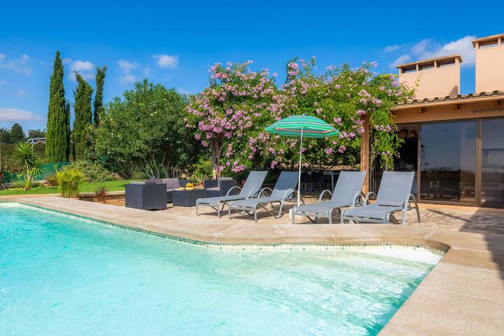 Ses Serres gallery image 4