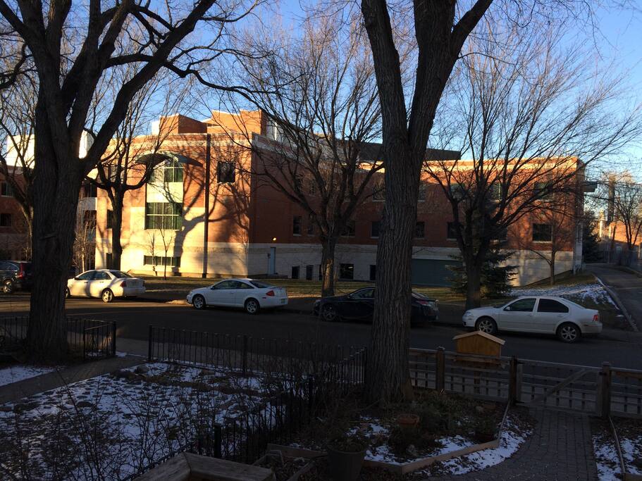 View of the General Hospital from our front yard (This is as close as it gets!).