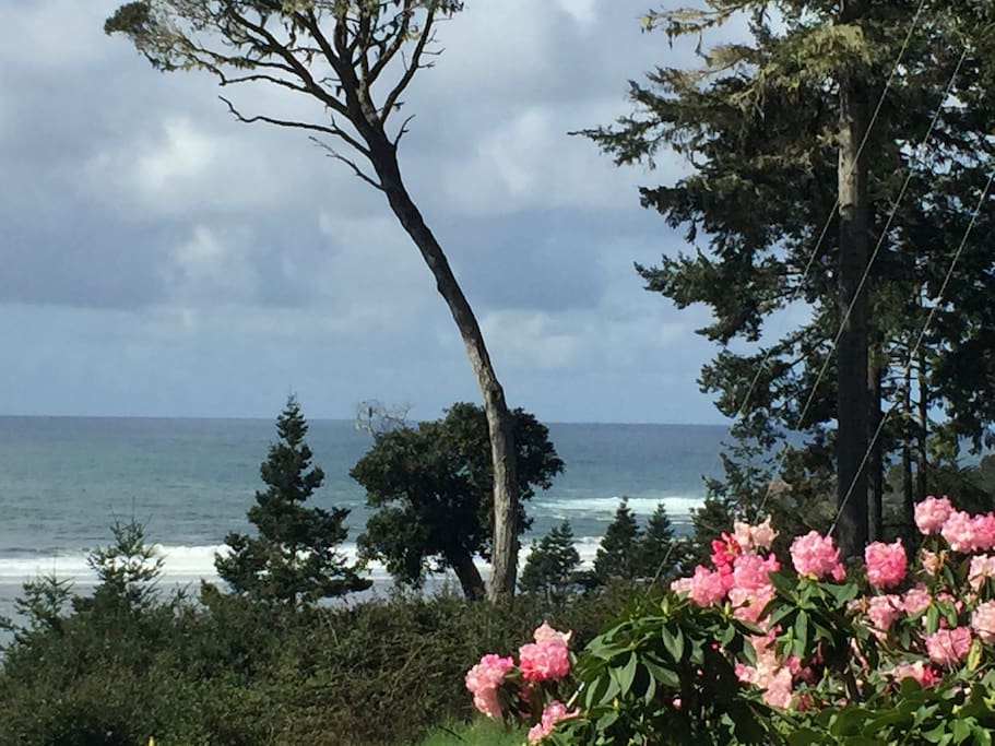 View from front yard on a stormy day.