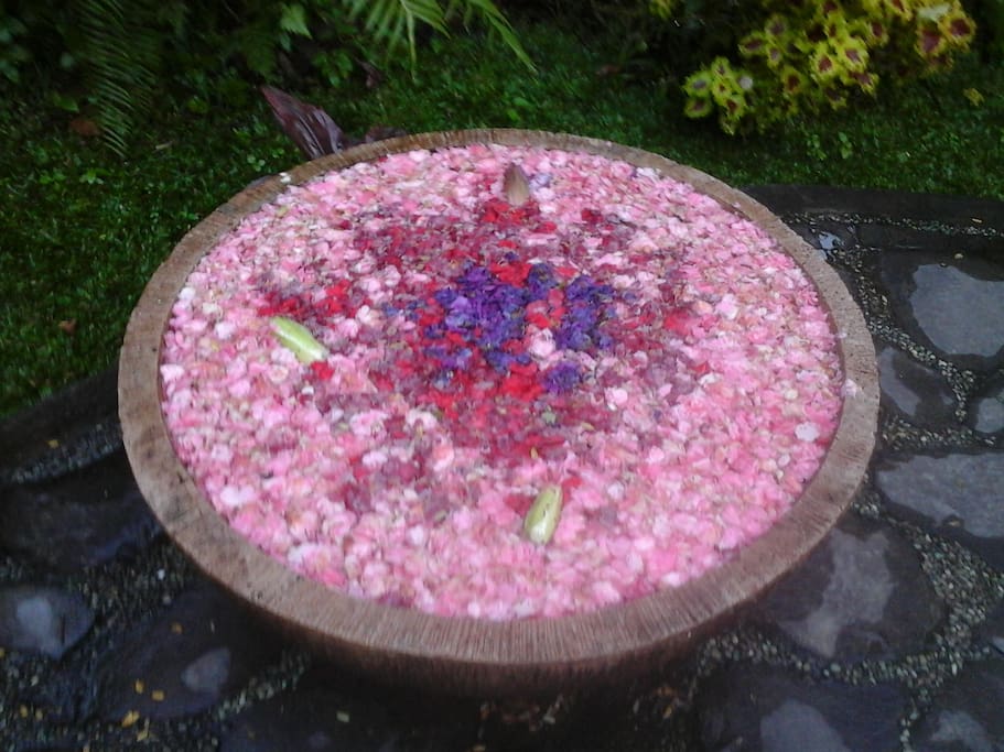 Flower Pool