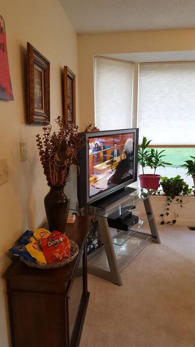 tv area