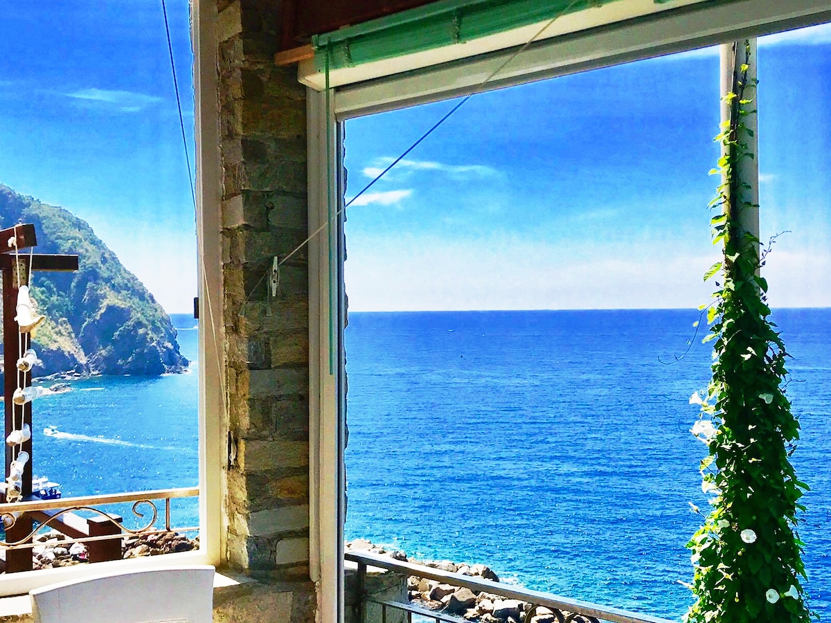 An expansive view reveals the tranquil sea under a clear blue sky, framed by an open window. A green plant hangs gracefully near the edges, while rocky cliffs can be seen in the distance, enhancing the serene coastal setting.
