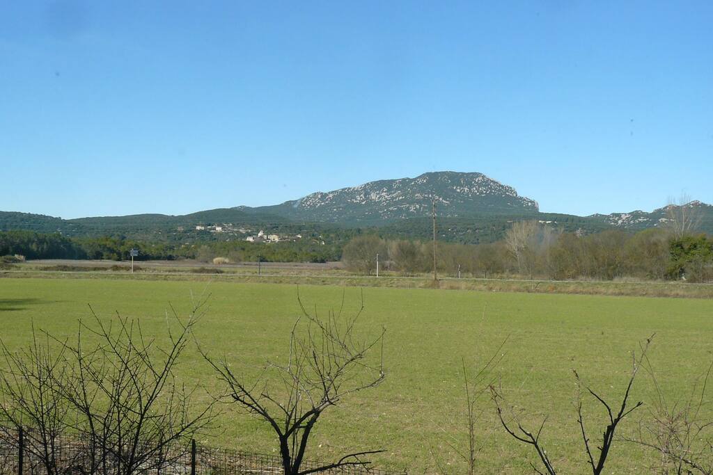 Vue imprenable sur le Pic Saint Loup pour des balades à pied , cheval ou vélo ou simplement pour la vue, assis sur canapé...