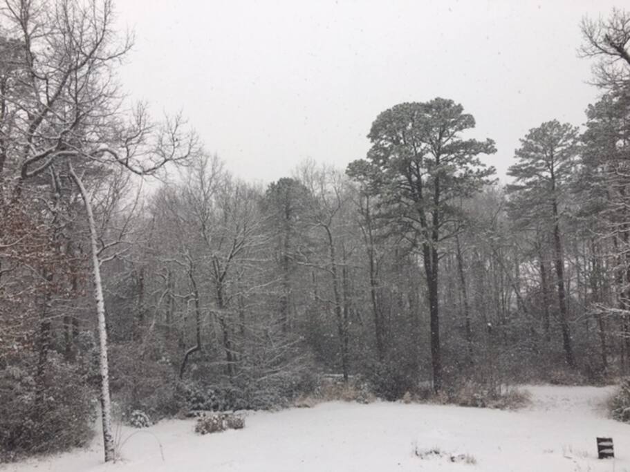 View from deck