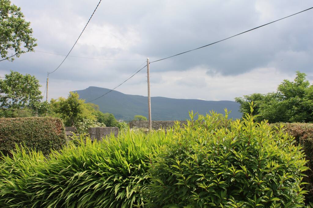 The view from the front garden with Benbulben in the distance