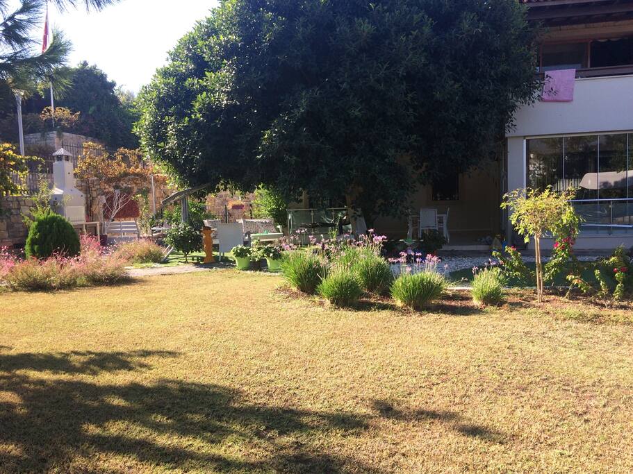 Entry house