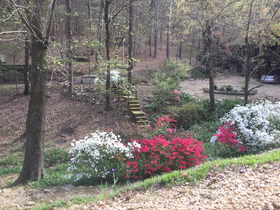One of any outdoor flower viewing areas