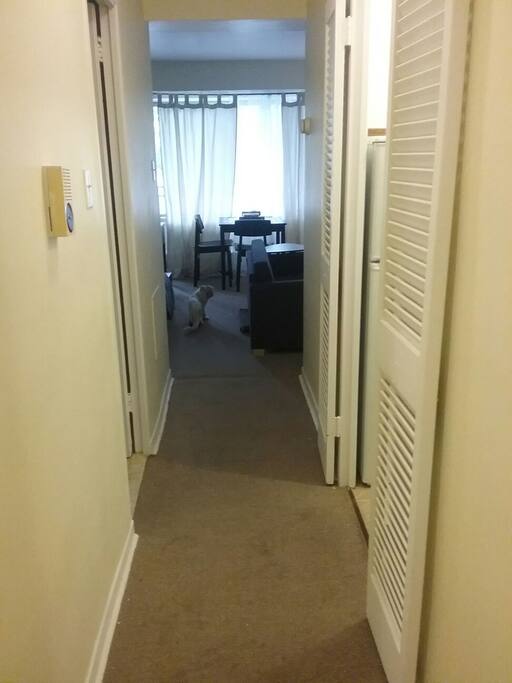 the room is separated from the entrance door (my cat is not living here anymore)
