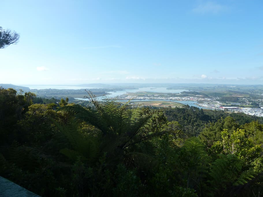 View from Mt Parahaki lookout