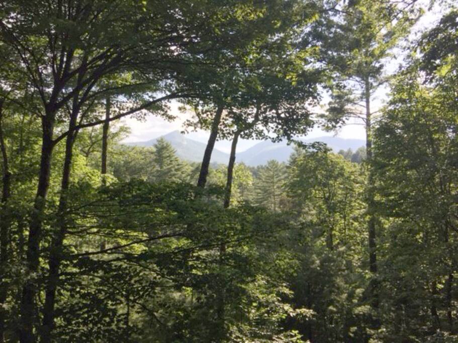 View from porch