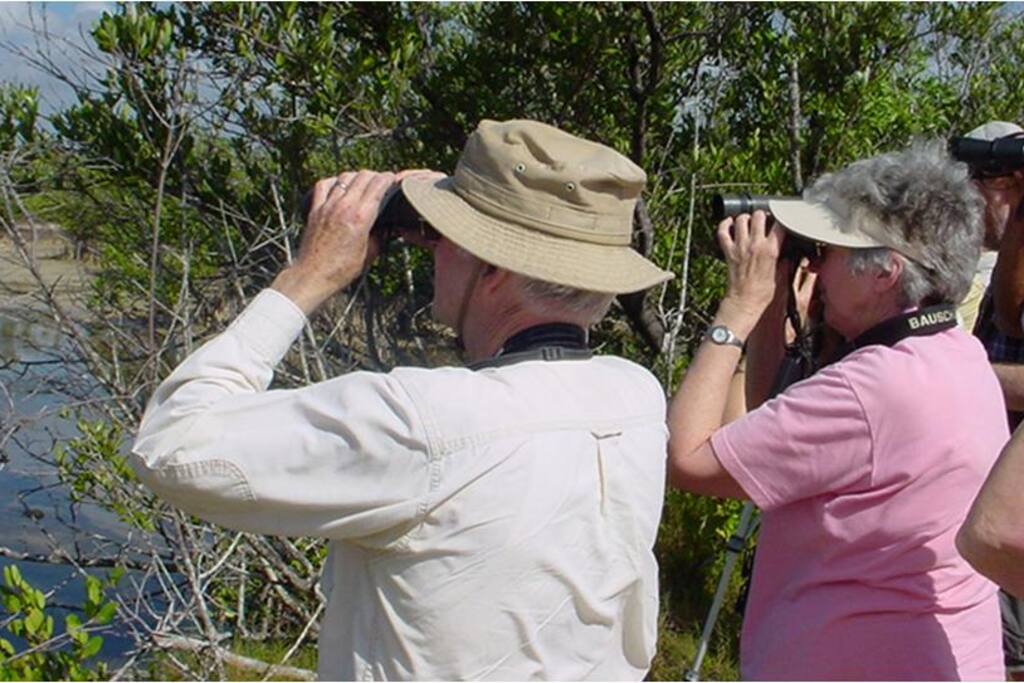 Senderismo para observación de Aves