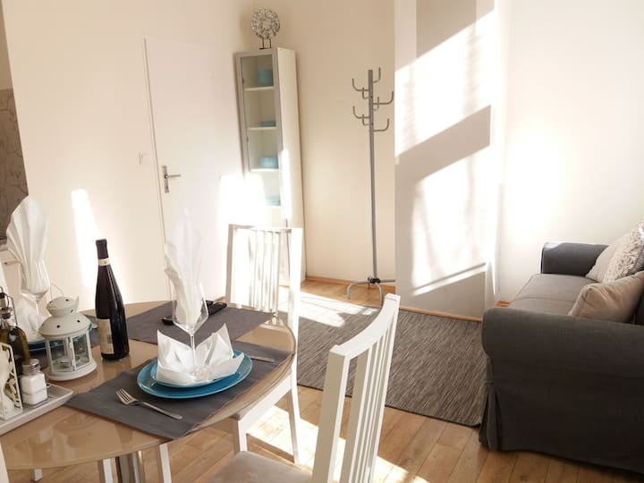 הסלון מרוהט בספה נפתחת נוחה וטלוויזיה בכבלים, שולחן אוכל ל -4 אנשים.