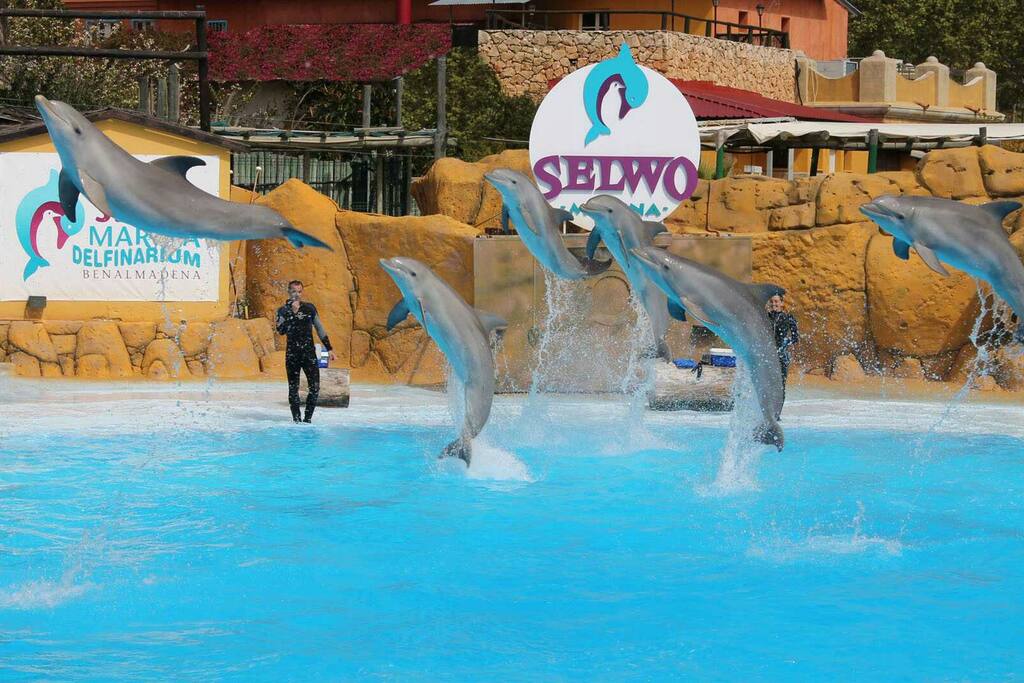 selwo marina a unos 10 min andando