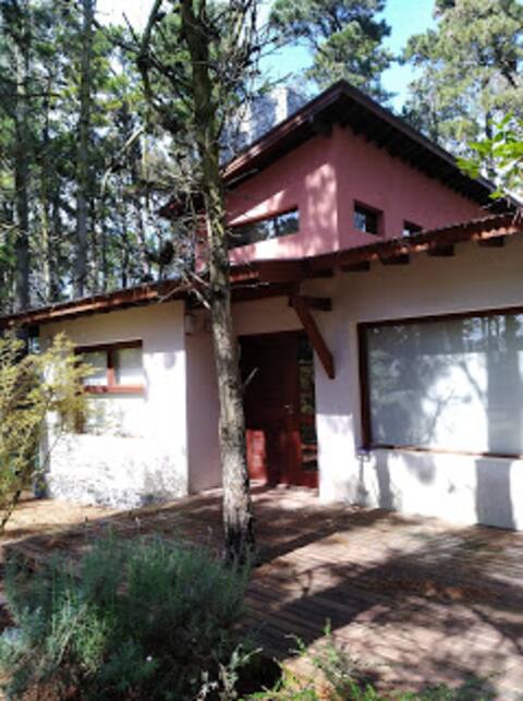 Fiaca: Comfort and nature in the middle of the forest