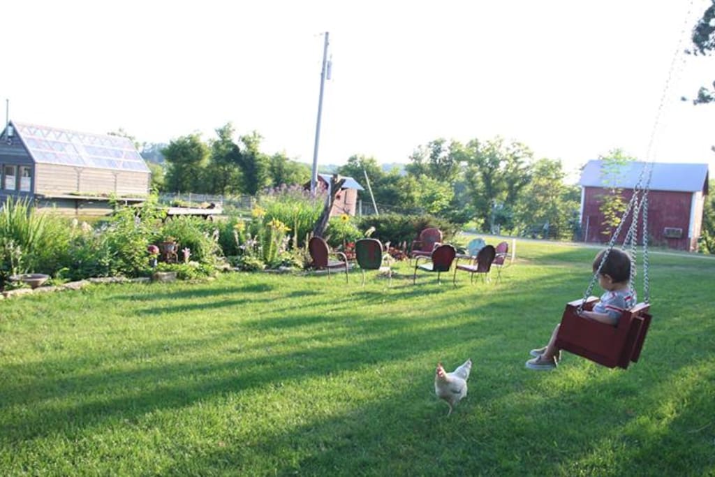 View from the Glamper - front yard with garden and swings and chickens!