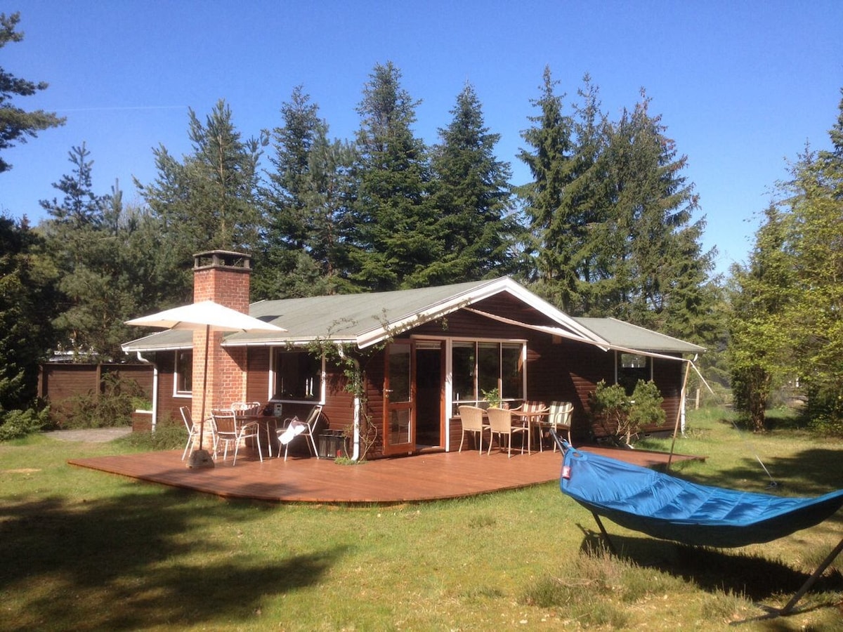 A charming retro summer house is surrounded by tall trees and greenery. The exterior features a wooden deck with chairs and tables for outdoor seating. A hammock is visible, providing a space for relaxation. The roof has a chimney, and large windows invite natural light.