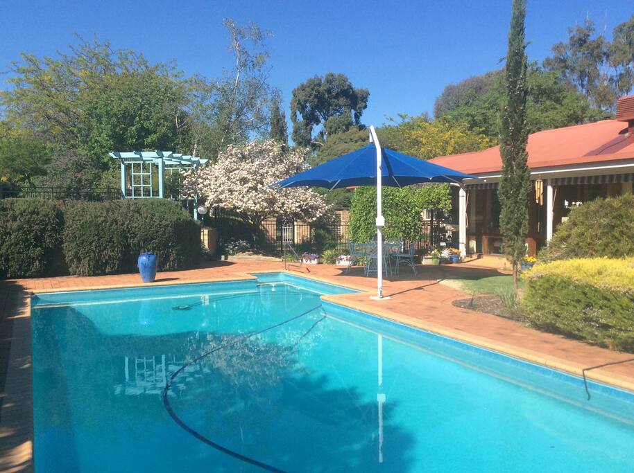 Beside the pool