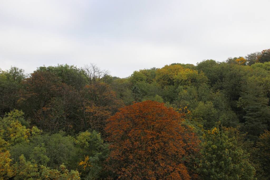 Vue côté chambre