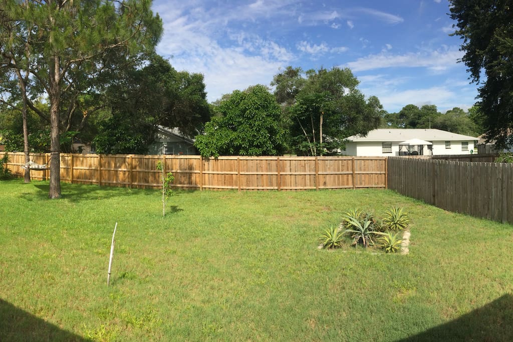 Gorgeous back yard with a patio (not pictured)