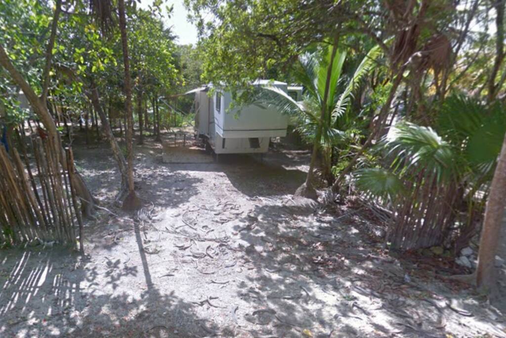 RV pictured from street looking toward the jungle