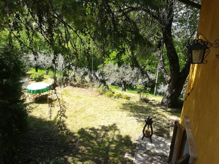 giardino