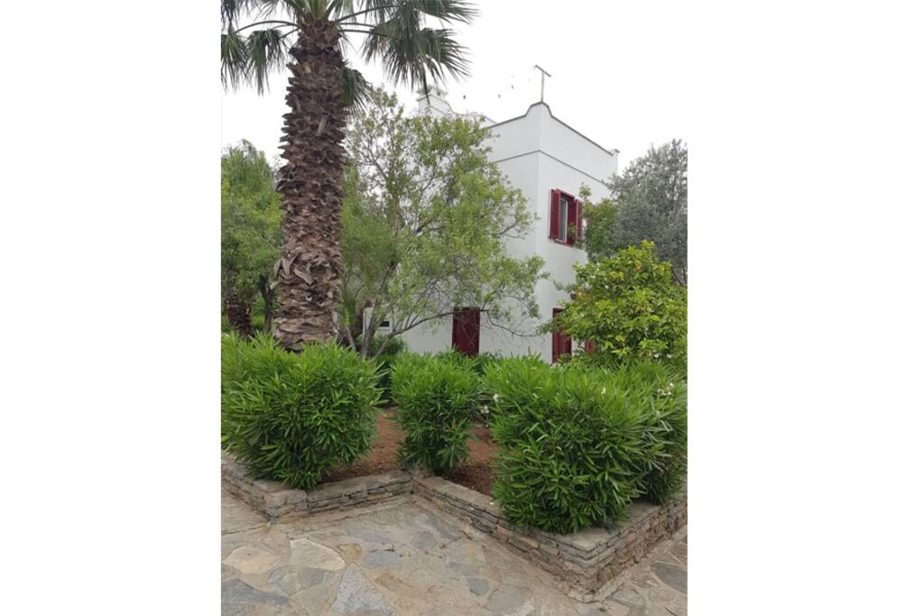 Jardin privee