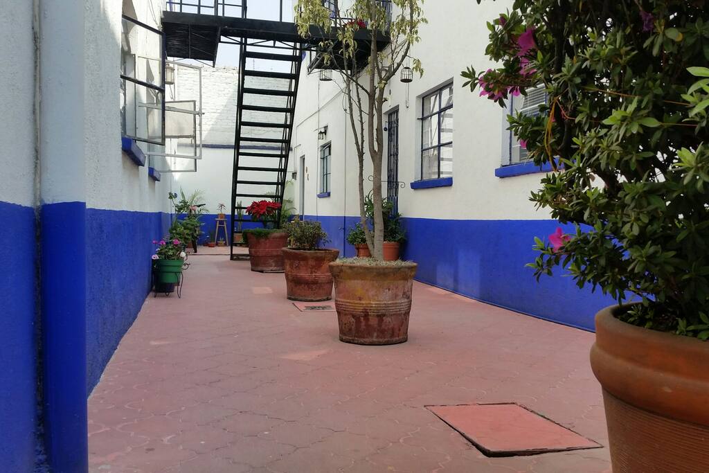 Entrada