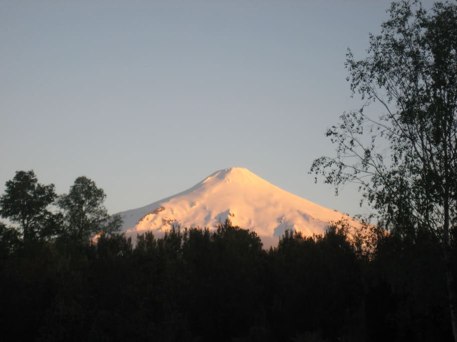 View from the terrace, the trees are taller now