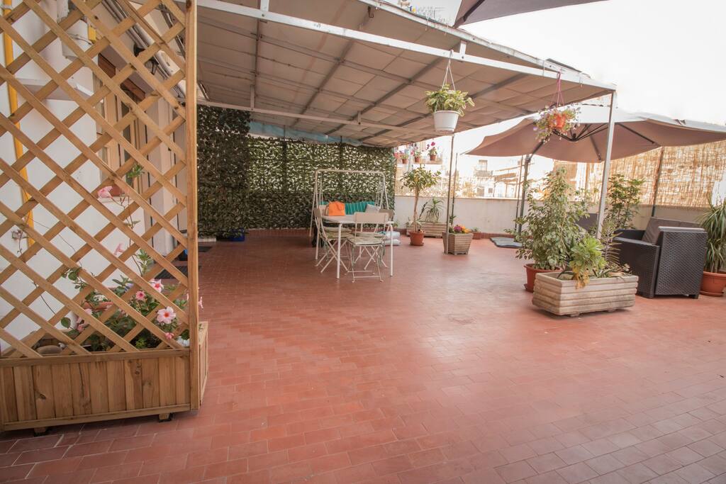 Shared Terrace