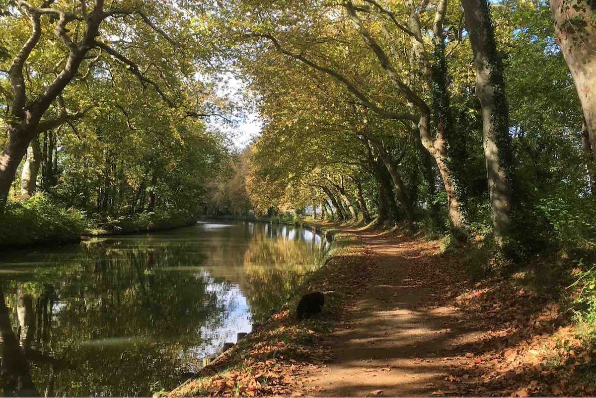 A serene pathway runs alongside a calm waterway, with trees lining both sides. The scene features golden autumn leaves on the ground, while the reflections of the trees are visible on the water's surface. The setting conveys a peaceful atmosphere ideal for leisurely strolls.