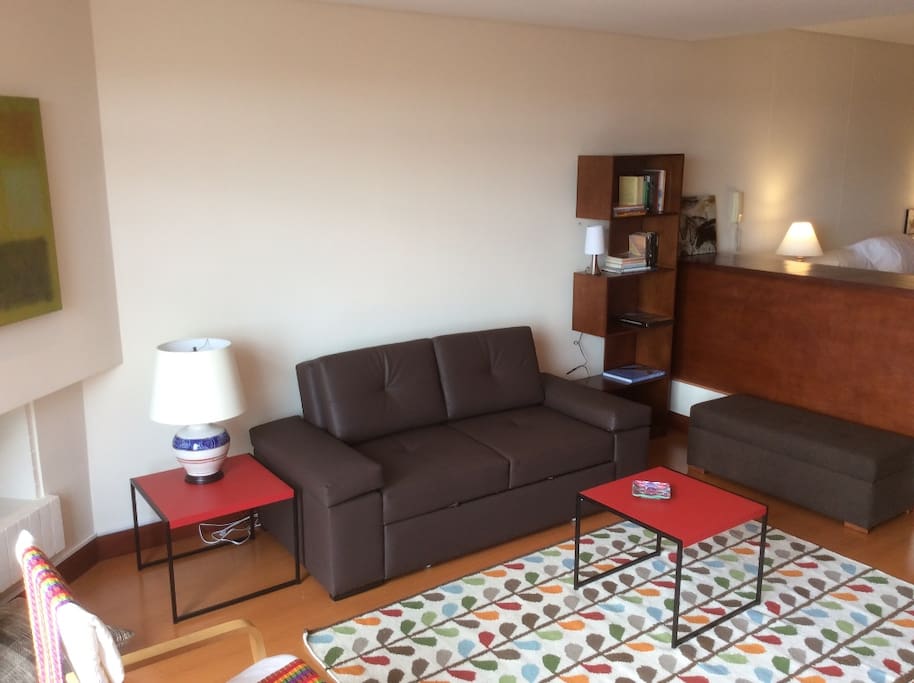 Living room with double sofa bed