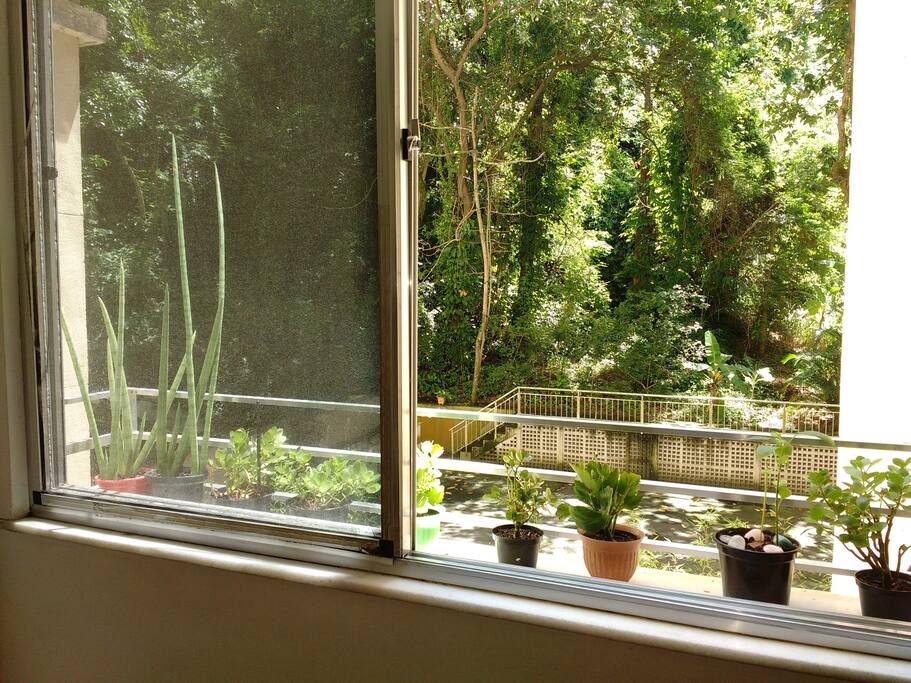 Vista da Janela da sala de estar