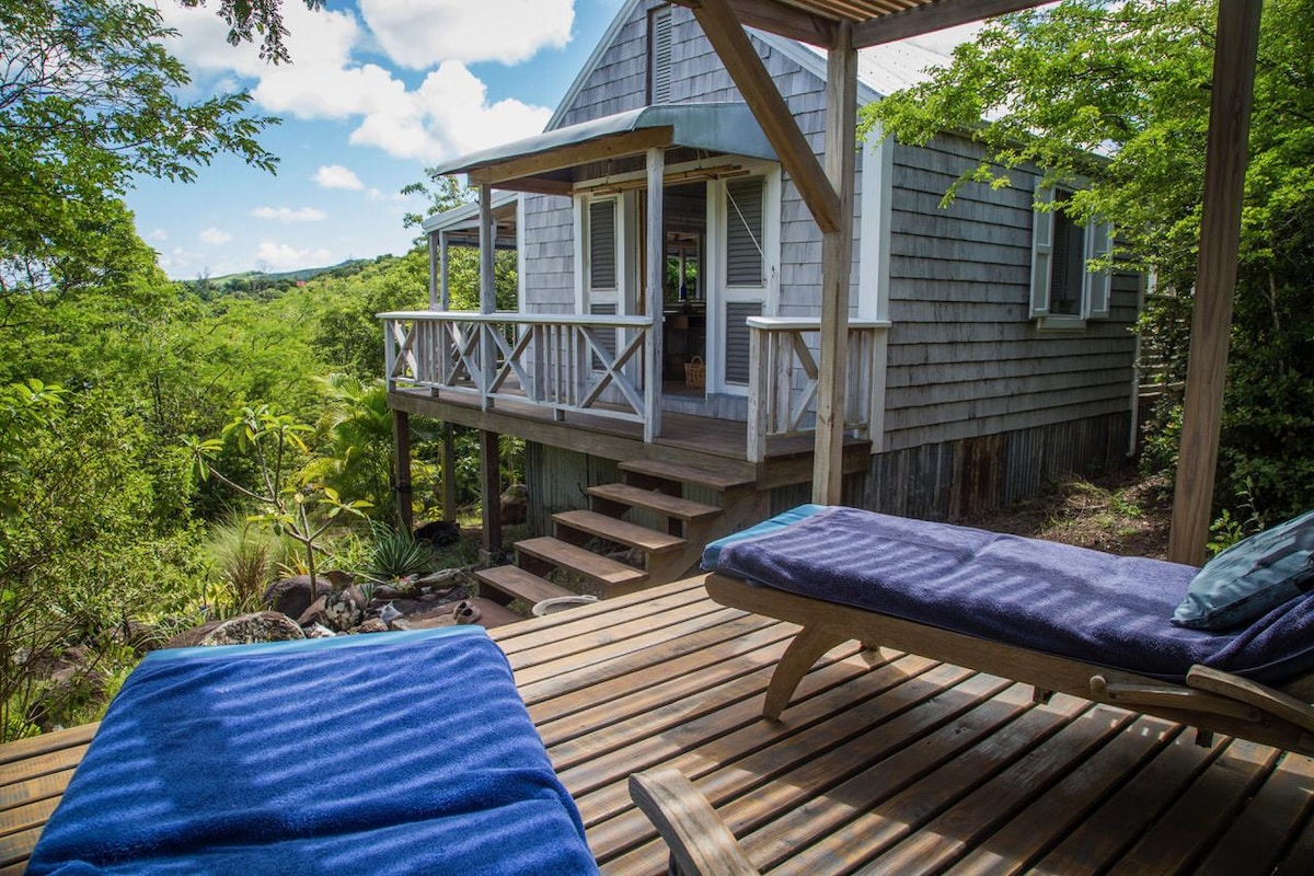 The image features a wooden deck with two lounge chairs positioned for relaxation. A cabin with wooden shingles and wide steps leads into the greenery. Large windows and balcony railing provide a panoramic view of the surrounding trees and natural landscape.