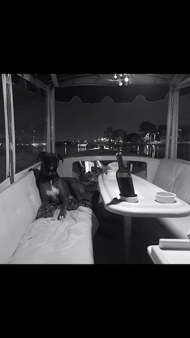 Enjoy a glass of wine and a bay cruise!