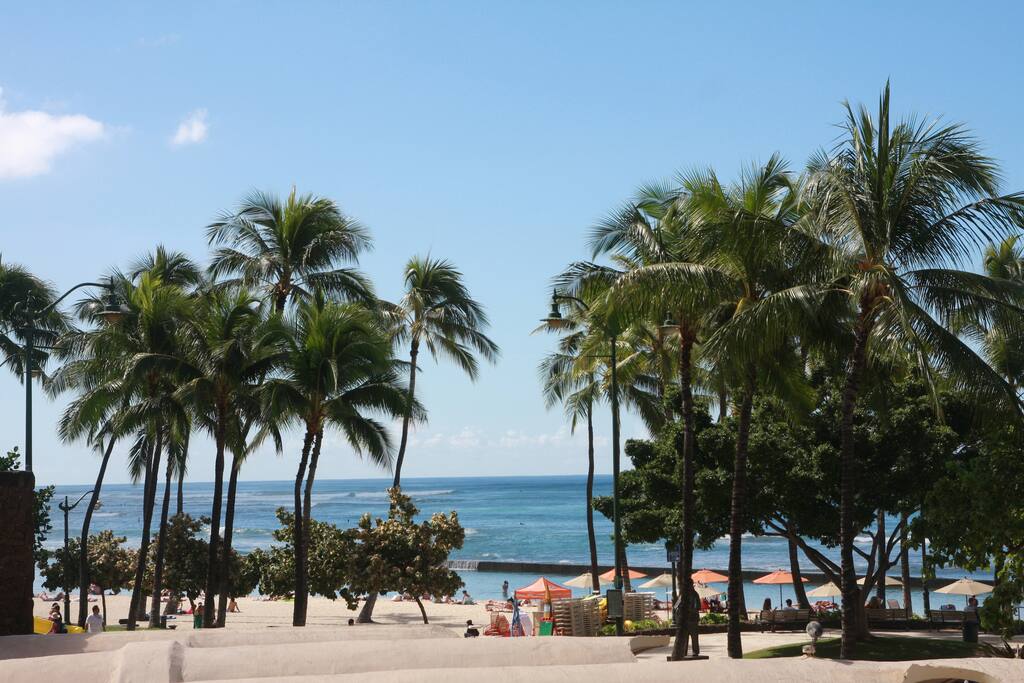 View from Balcony