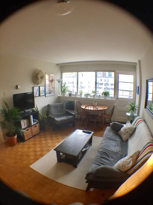Living room 2